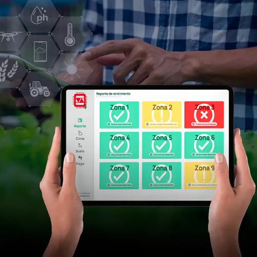 Imagen del proyecto de MMJ 1