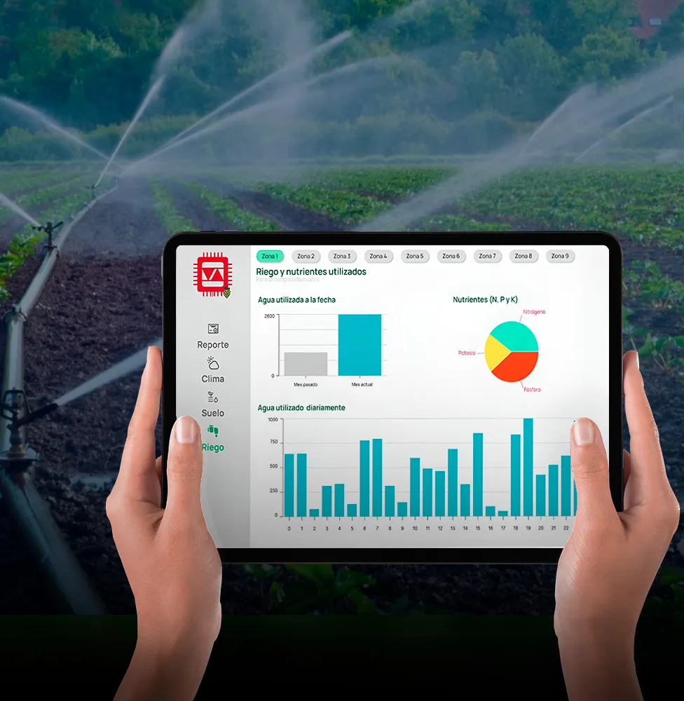 Imagen del proyecto de MMJ 3